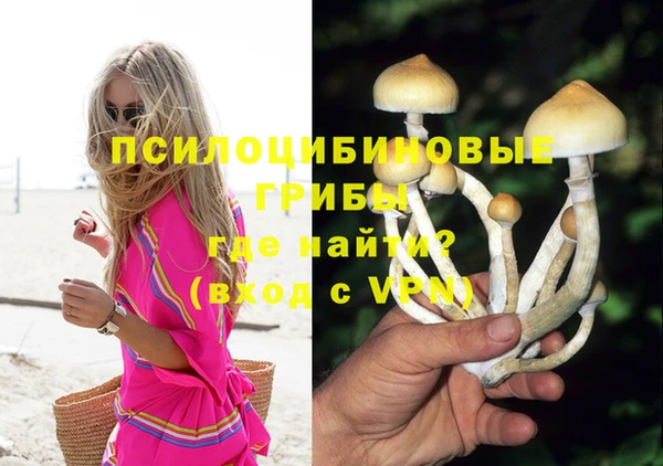 твердый Абаза