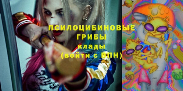 твердый Абаза