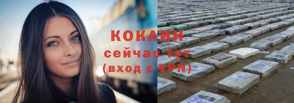 твердый Абаза