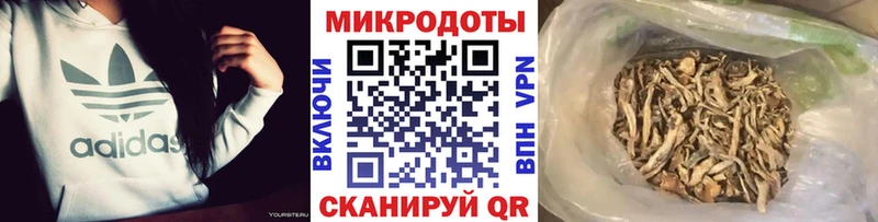 Псилоцибиновые грибы GOLDEN TEACHER  Орск 